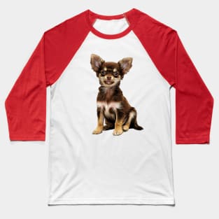 chihuahua Baseball T-Shirt